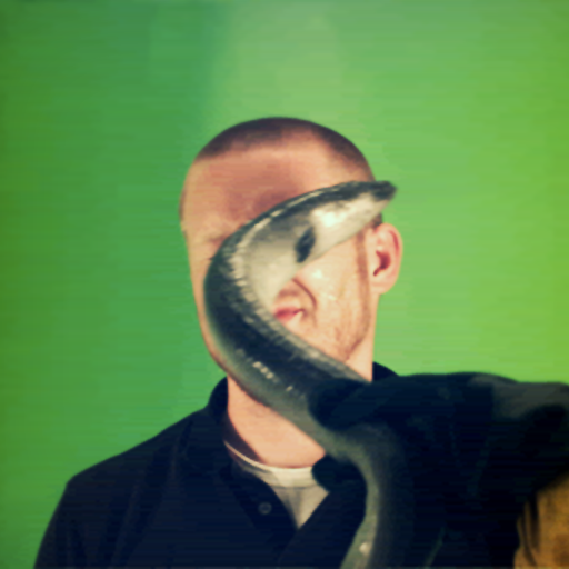 Eel Slap